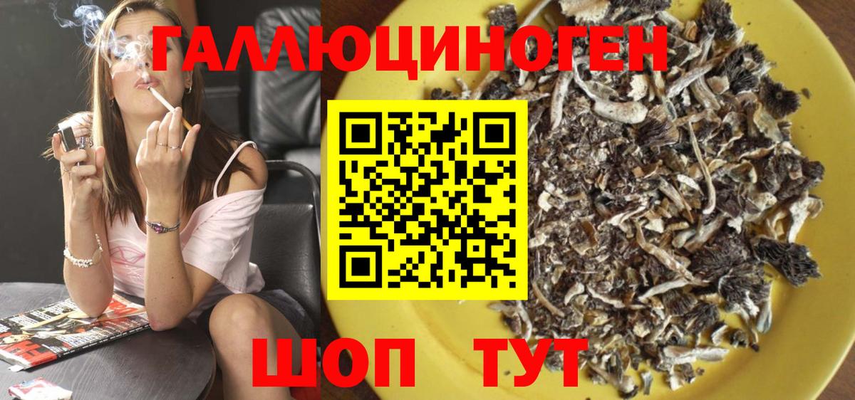 Псилоцибиновые грибы ЛСД  Вход с VPN  Лесной  Псилоцибиновые грибы GOLDEN TEACHER 