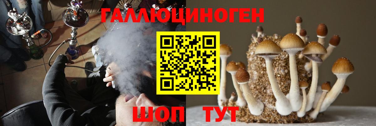 Галлюциногенные грибы Psilocybe Лесной